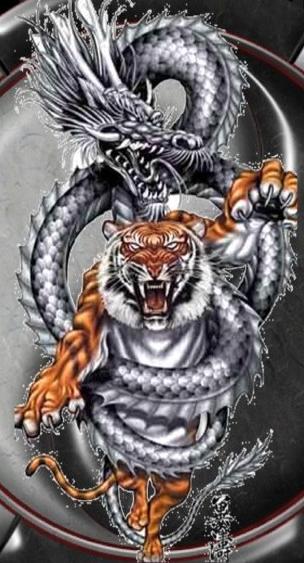 dragon et tigre