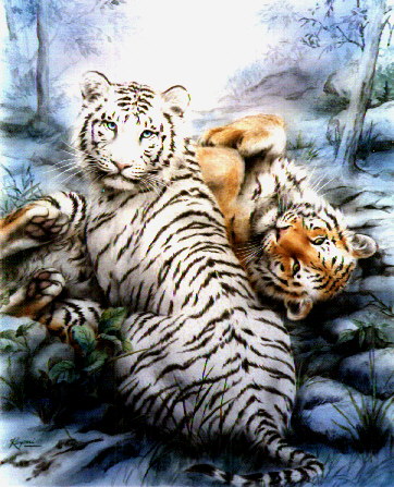 tigre